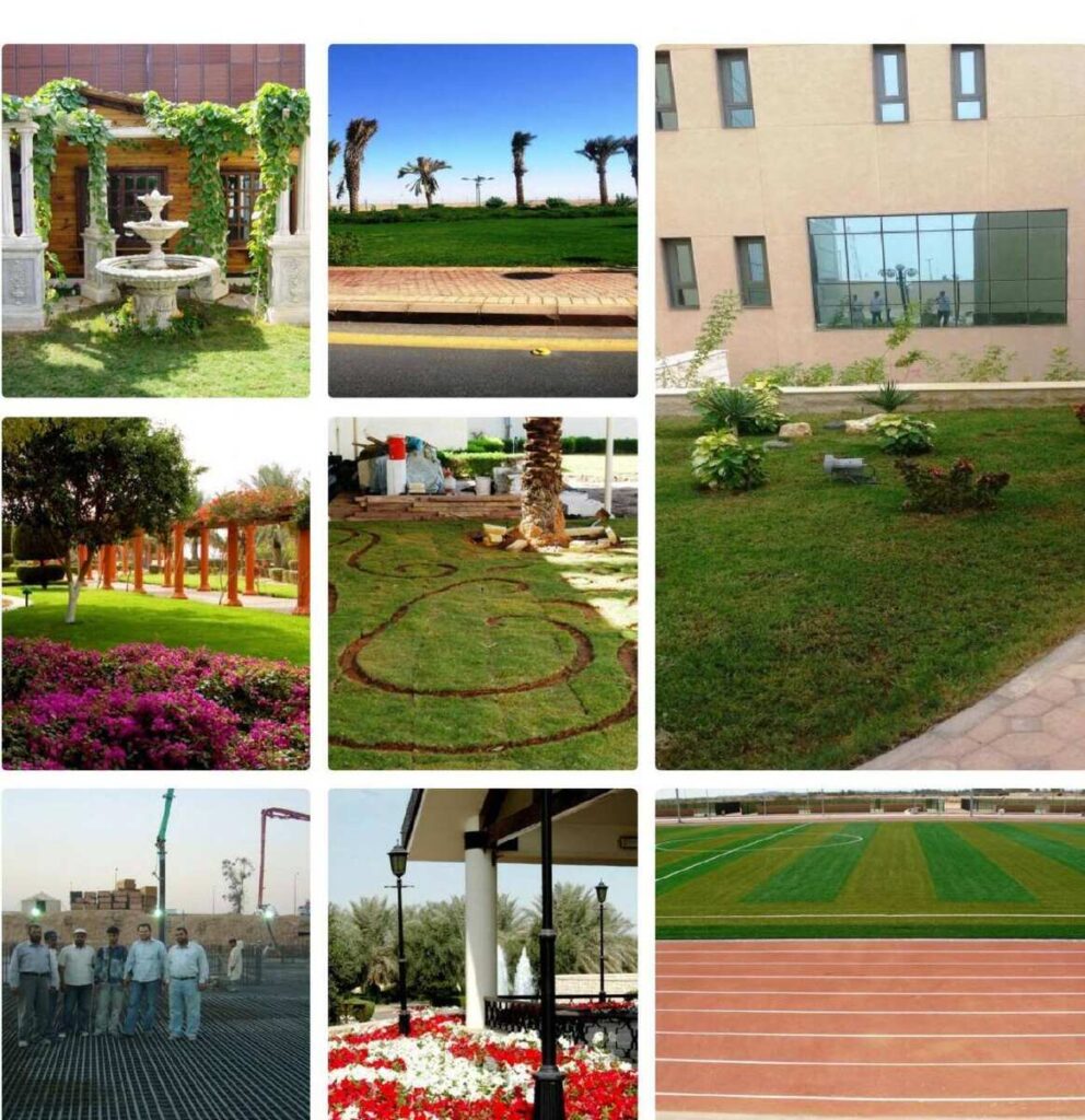 المسابح والشلالات